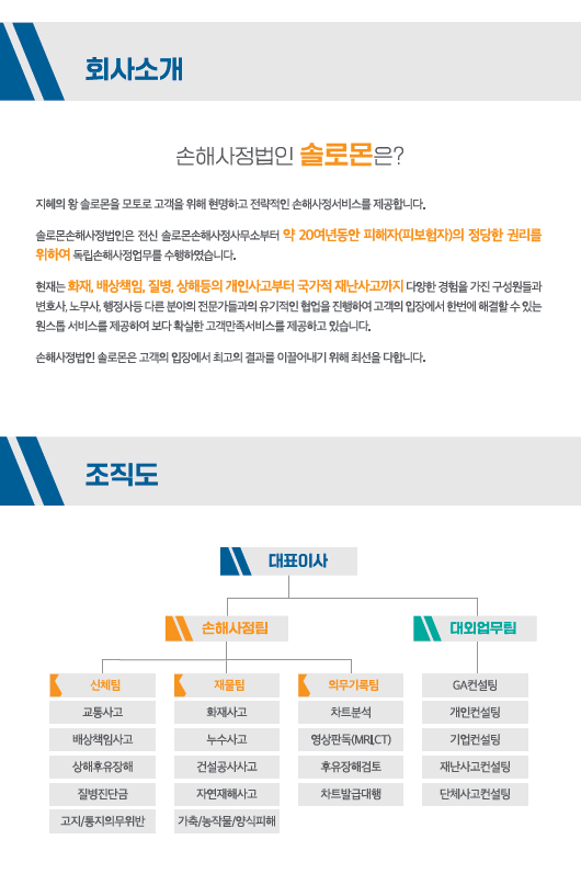 일산 손해사정사 (진짜 일산에 있는 손해사정인) 솔로몬과 함께 하세요.