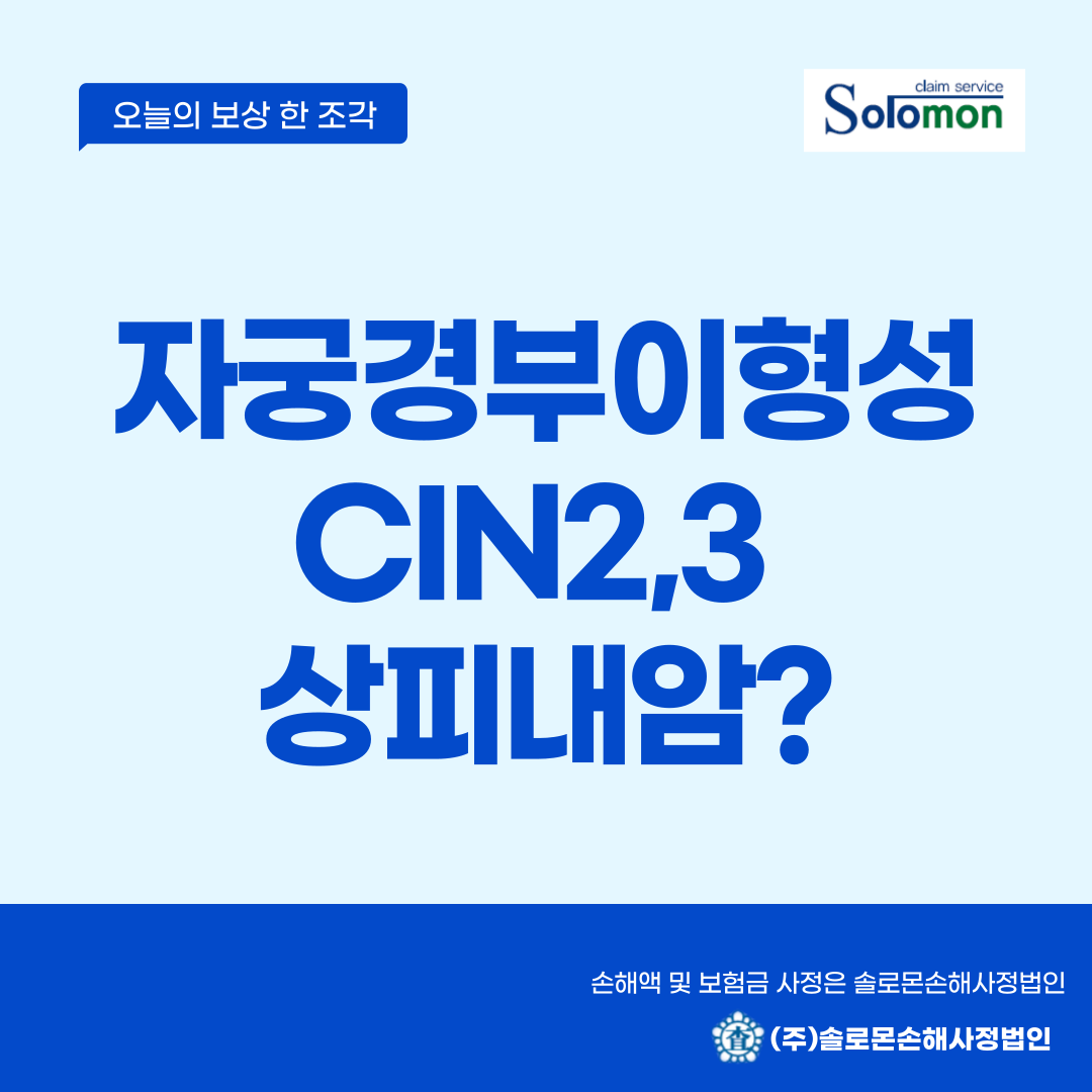 [자궁경부이형성증] 상피내 신생물? 자궁경부의 제자리암종?[CIN2,CIN3]