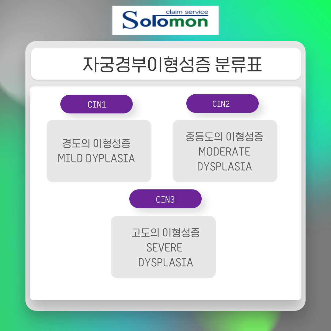 N87.2 CIN3가 제자리암 인정 가능한 이유